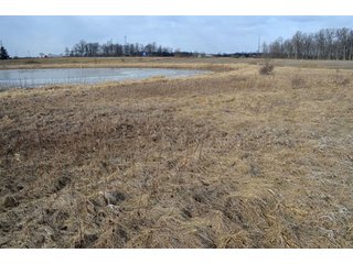Property photo 84 - 127 Acres Offered in 8 Tracts - Allen & Dekalb County Land